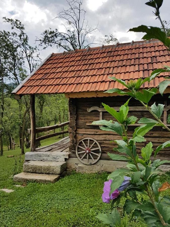 Tinutul Luanei Glamping Campo de lujo Bozioru