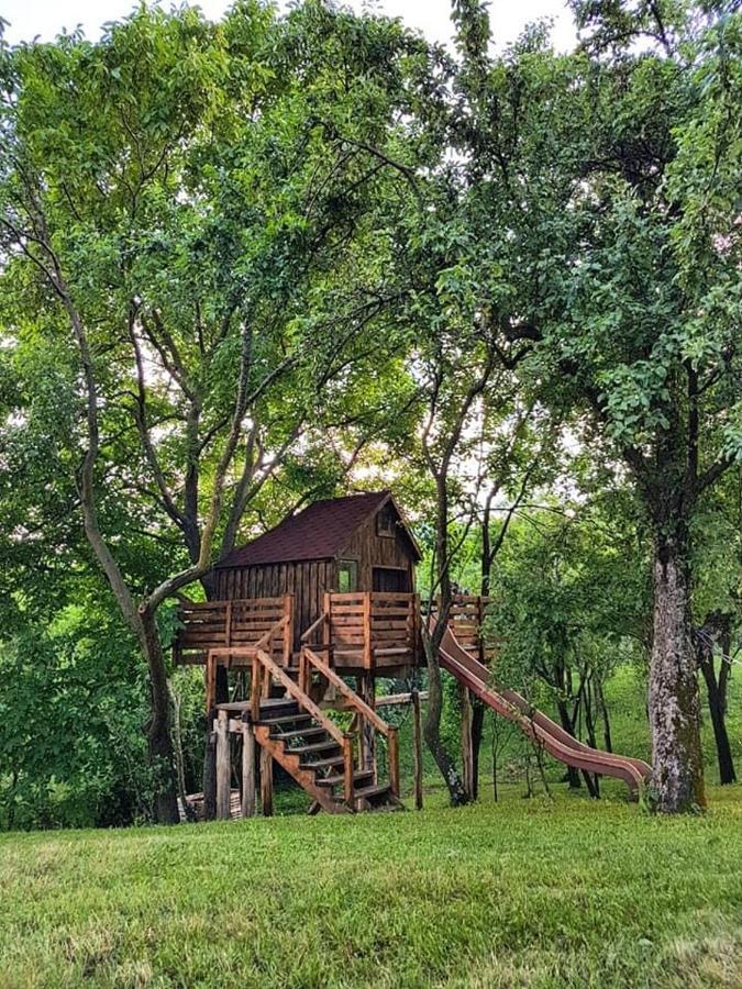 Luxury tent Tinutul Luanei Glamping Bozioru