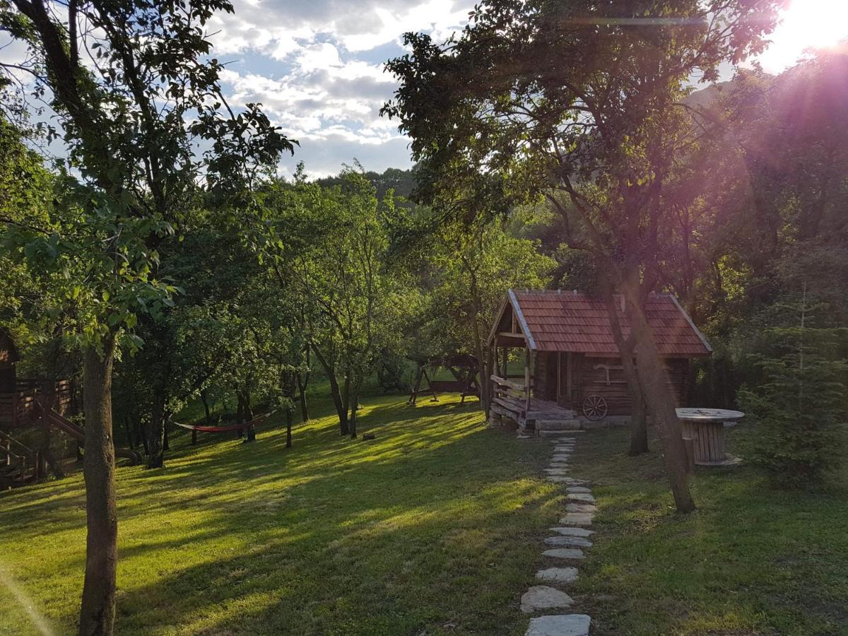 Tinutul Luanei Glamping Bozioru