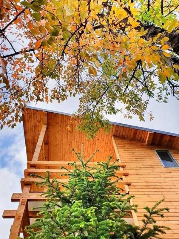 Tinutul Luanei Glamping Campo de lujo *