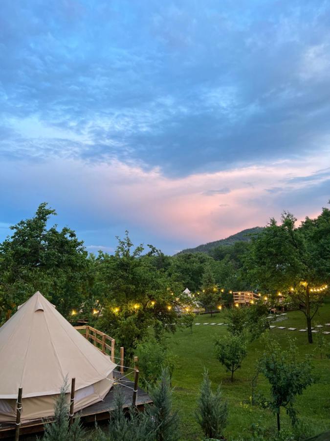 Tinutul Luanei Glamping * Bozioru