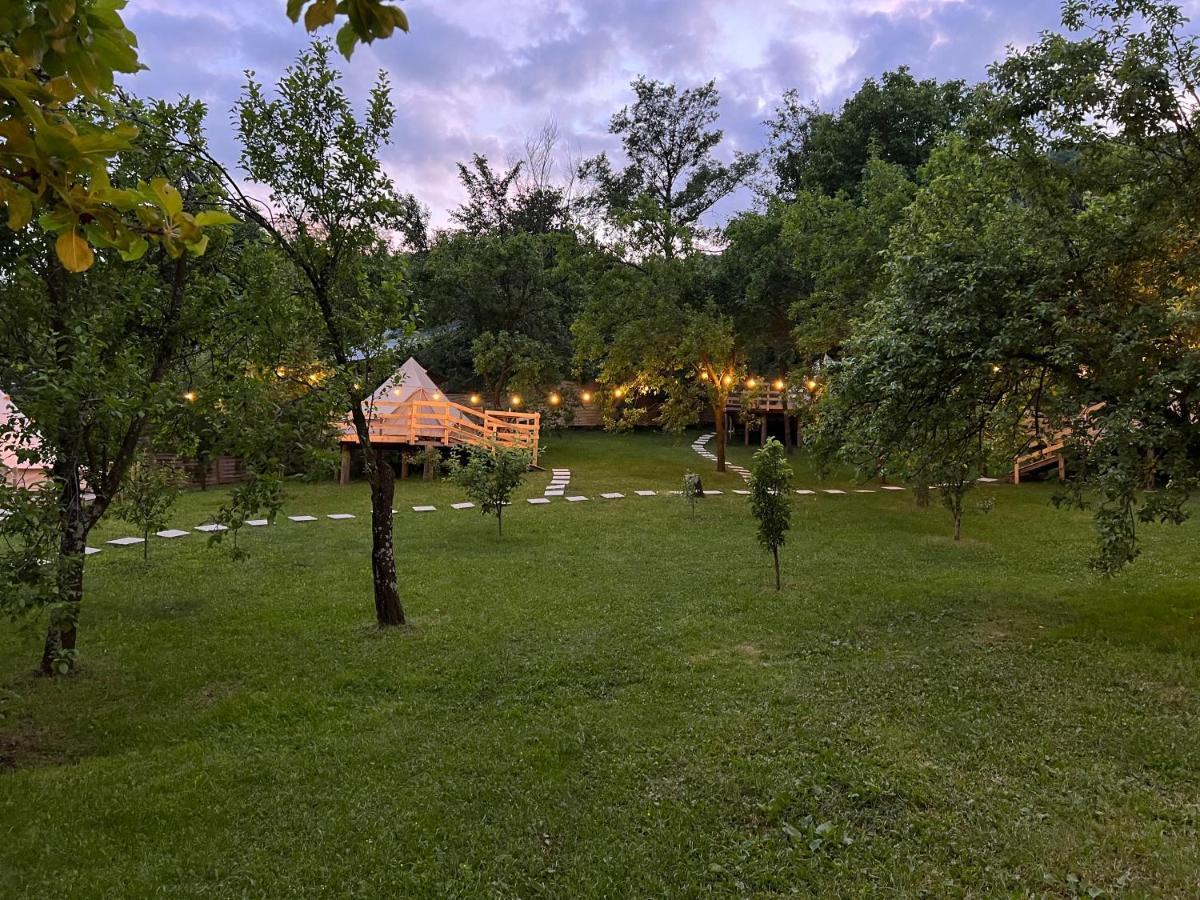 Campo de lujo Tinutul Luanei Glamping Bozioru