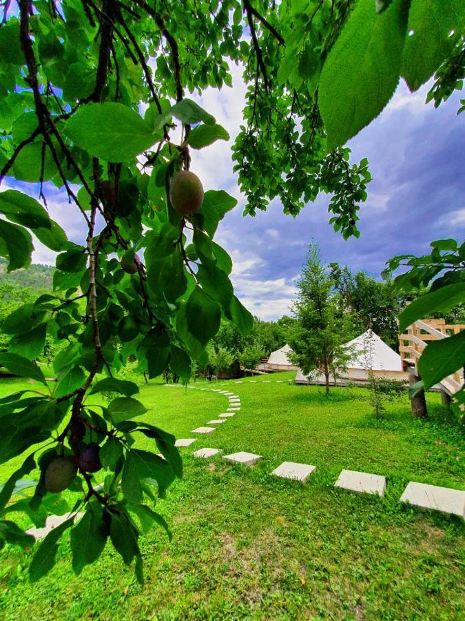 Tinutul Luanei Glamping