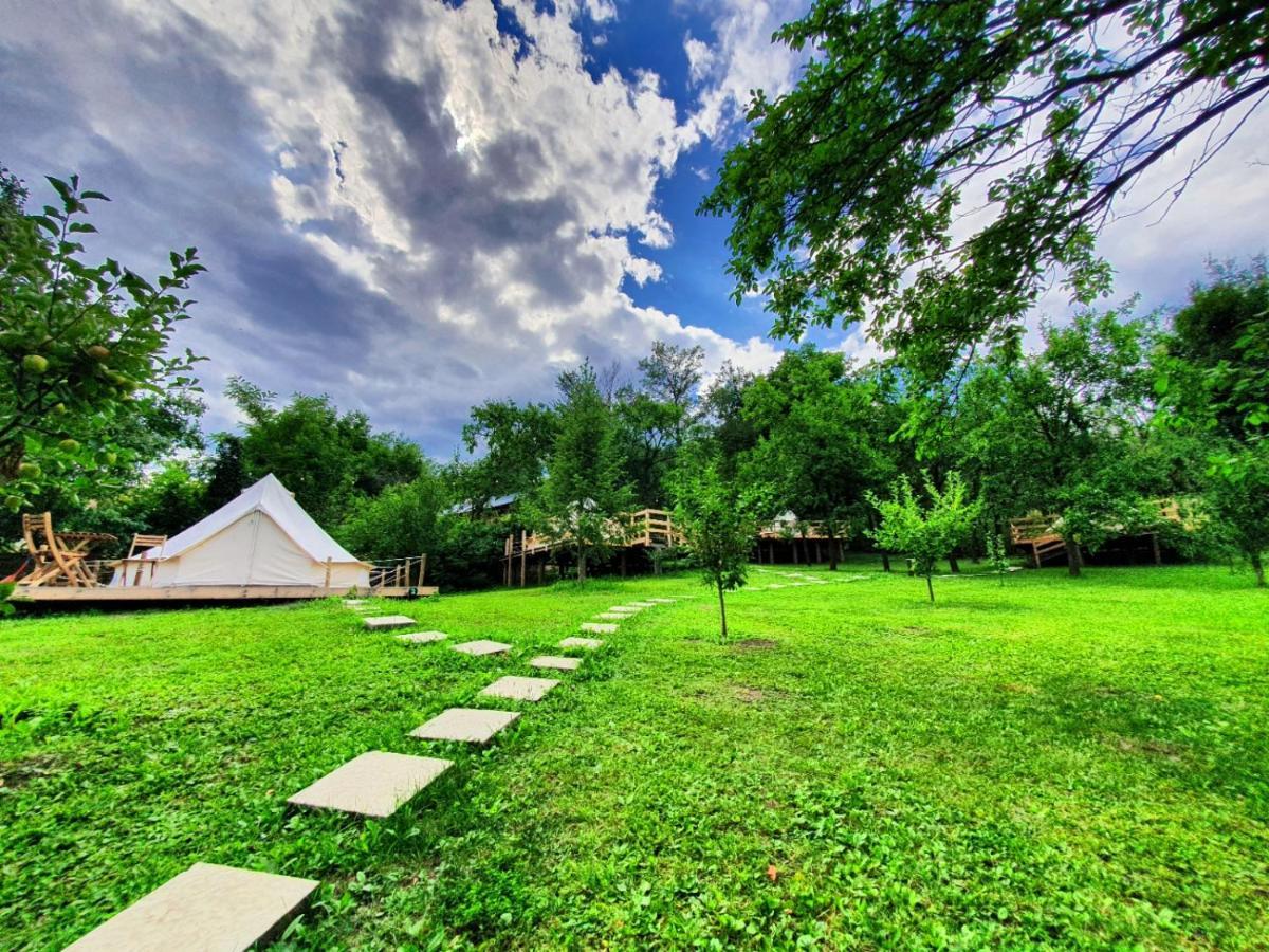 Tinutul Luanei Glamping * Bozioru