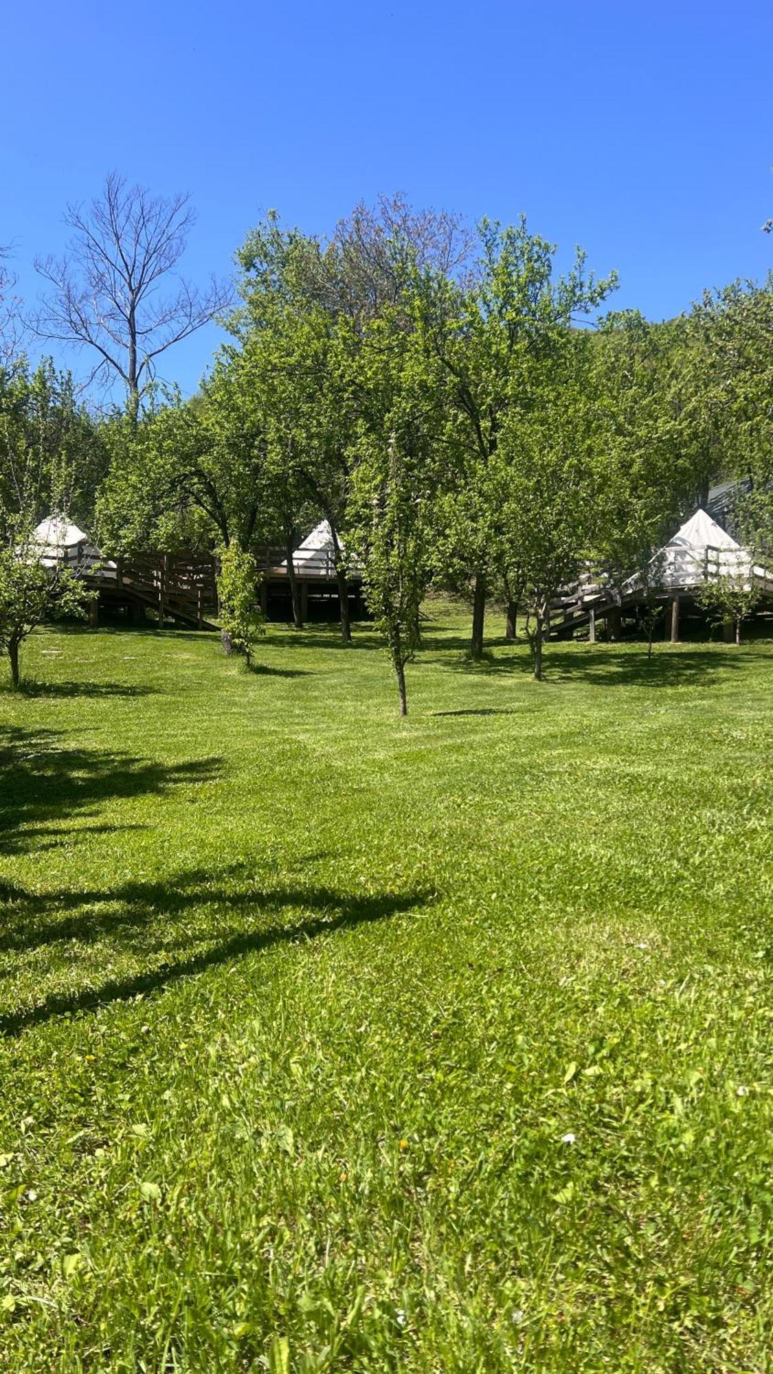 Tinutul Luanei Glamping Bozioru